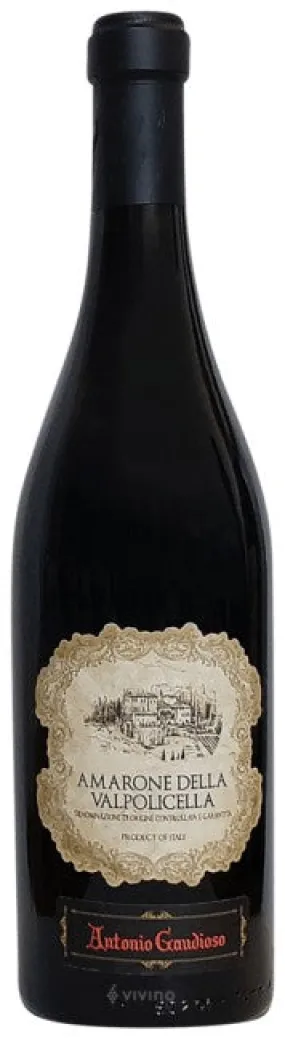 Antonio Gaudioso Amarone della Valpolicella 2017 (750ml)