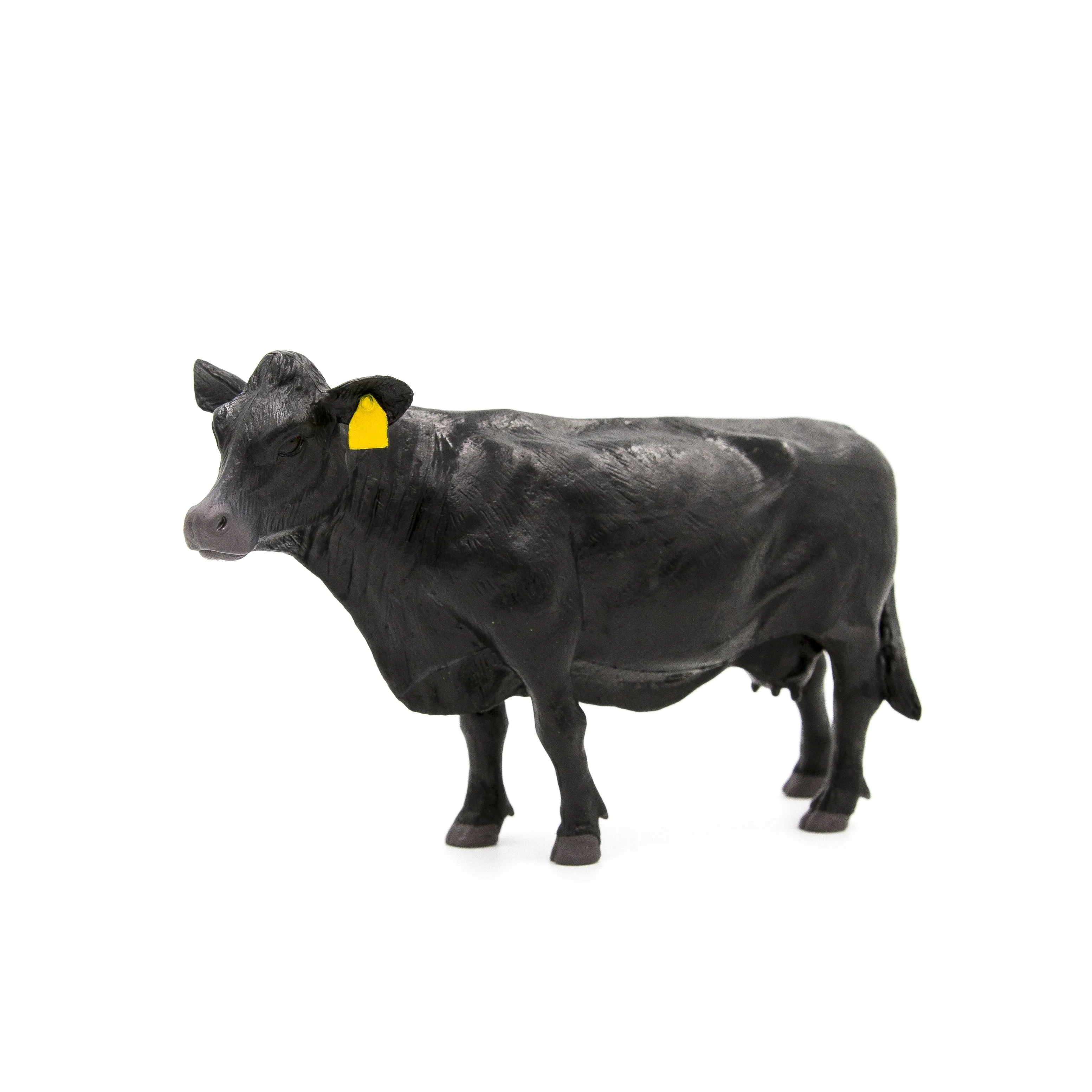 Black Angus Cow